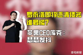 峨边遇到恶意拖欠？专业追讨公司帮您解决烦恼